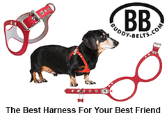 Advertisement - Buddy Belts - http://www.buddy-belts.com